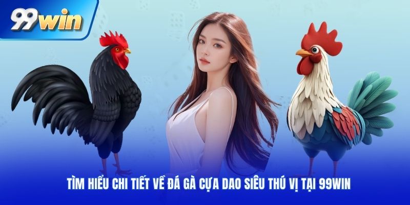 Tìm hiểu chi tiết về đá gà cựa dao siêu thú vị tại 99WIN