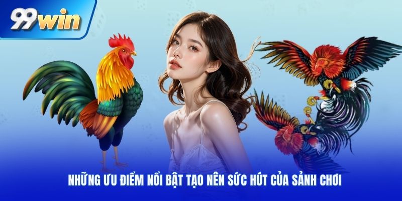 Những ưu điểm nổi bật tạo nên sức hút của sảnh chơi