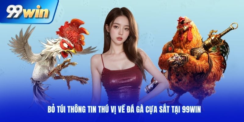 Bỏ túi thông tin thú vị về đá gà cựa sắt tại 99WIN