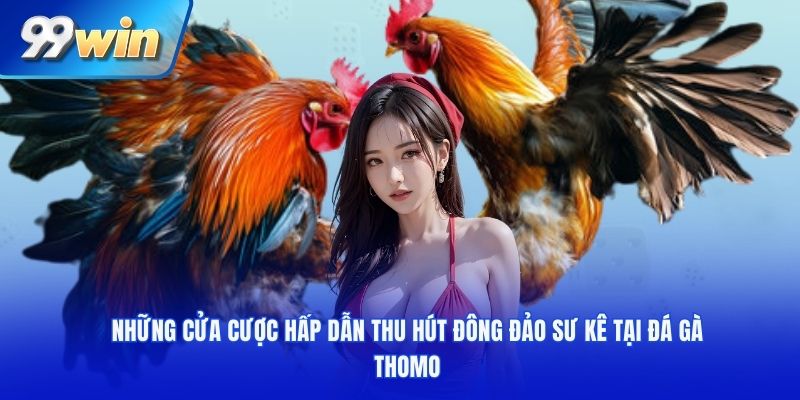 Những cửa cược hấp dẫn thu hút đông đảo sư kê tại đá gà Thomo