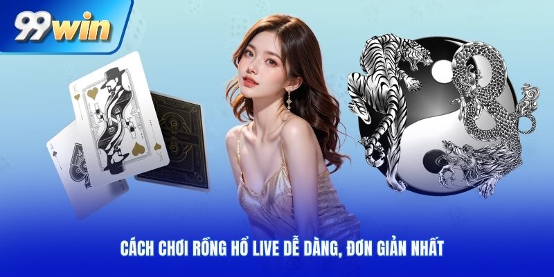 Cách chơi rồng hổ live dễ dàng, đơn giản nhất